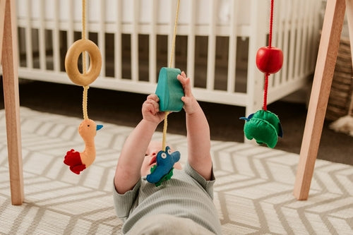 Baby Gym - Little Sprouts & Co. - Educational Toys - [product tags]